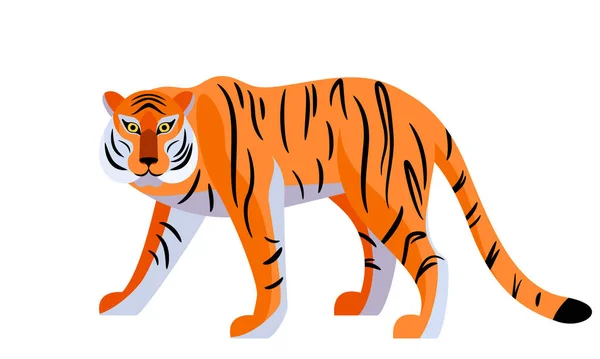 Tiger vector illustration isolated on white background. Big royal striped cat walking — Stock Vector