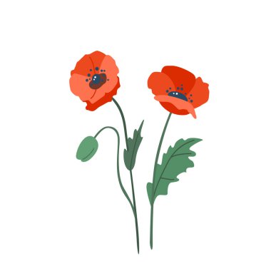 Poppy çiçek vektör illüstrasyonu modern basit biçimde beyaz arkaplanda izole edilmiştir