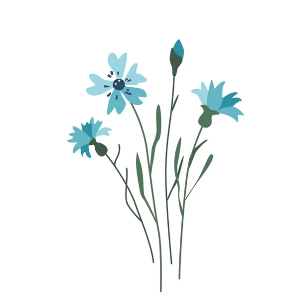Ilustración vectorial flor de aciano aislado sobre fondo blanco en estilo simple moderno — Vector de stock