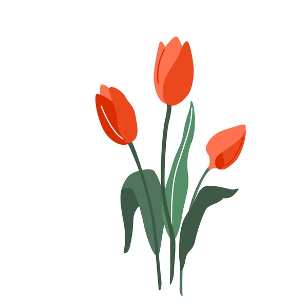 Tulipán flor vector ilustración aislada sobre fondo blanco en estilo simple moderno — Vector de stock