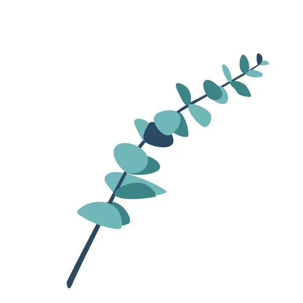Ilustración vectorial de ramitas de eucalipto aislada sobre fondo blanco en estilo moderno y sencillo — Vector de stock