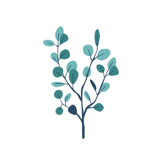 Ilustración vectorial de ramitas de eucalipto aislada sobre fondo blanco en estilo moderno y sencillo — Vector de stock