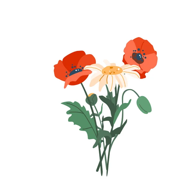 Blumenstrauß Mohn und Kamille Vektor Illustration isoliert auf weißem Hintergrund in modernen einfachen Stil — Stockvektor