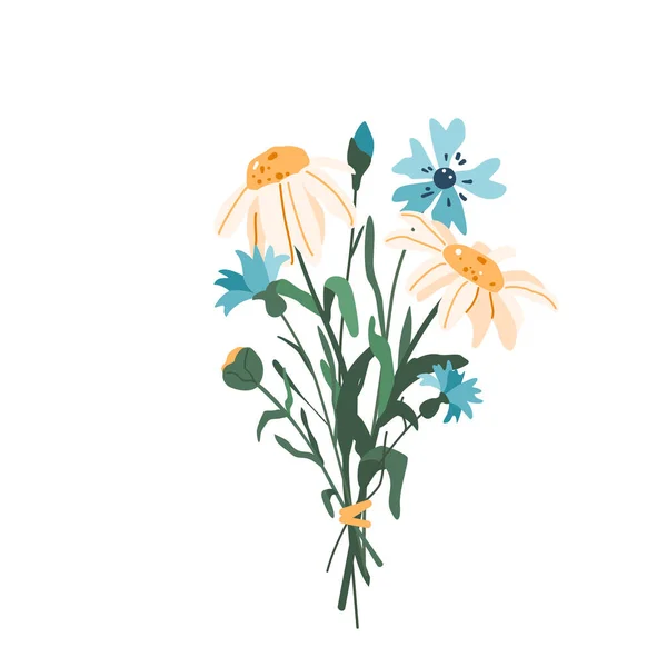 Virág csokor búzavirág és kamilla vektor illusztráció elszigetelt fehér alapon modern egyszerű stílusban — Stock Vector
