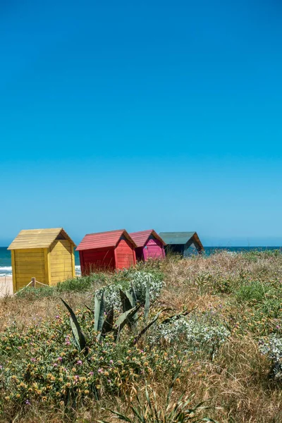 colorful houses on a beach with wild vegetation on a clear day. vertical. copy space