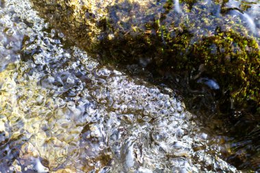 Taze bir akarsuyun su yüzeyi