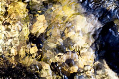 Taze bir akarsuyun su yüzeyi