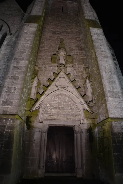 Cathédrale Catholique John Limerick Irlande Nuit — Photo