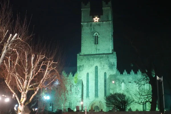 Saint Mary Cathedral Лимерик Ирландии Ночью — стоковое фото
