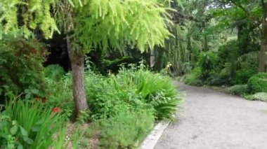 Eşsiz bitkileri olan güzel bir bahçe.