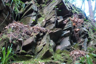 Nehrin kıyısındaki kaya duvar