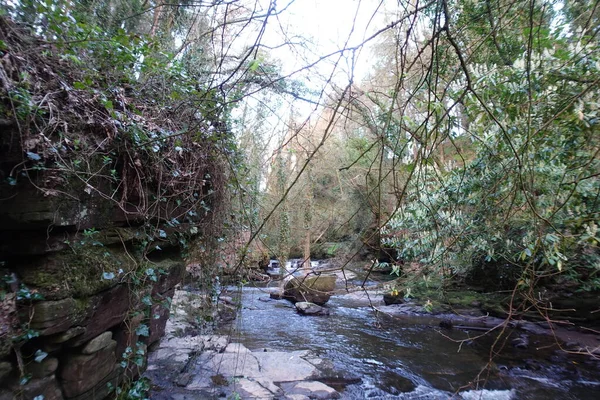 Piękna Rzeka Clare Glens Irlandii — Zdjęcie stockowe