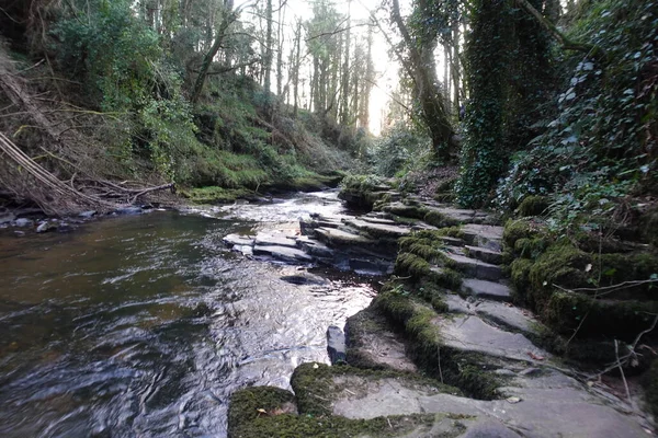 Piękna Rzeka Clare Glens Irlandii — Zdjęcie stockowe