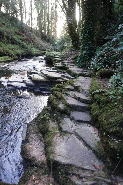 Kamenná Cesta Okraji Krásné Řeky Clare Glens — Stock fotografie