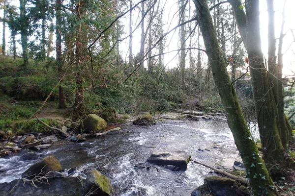 Beautiful Clare Glens Waterfall Ireland — Stock Photo, Image