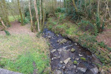 Baharda güneşli bir günde nehir