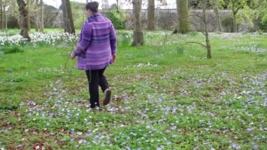Parktaki güzel çiçek tarlasında bir kadın yürüyor.