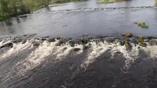River Shannon Footbridge Castleconnell Ireland Sunny Day Lady Enjoying Flow — Stock Video