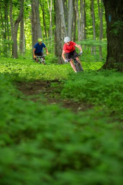 Kanada, Ontario 'da dağ bisikletlerine binen bir çift.