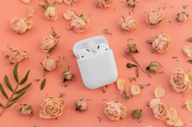 Beyaz kablosuz kulaklıklar, pembe arka planda, narin kuru gül çiçekleri..