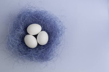 Beyaz Paskalya yumurtalarının mor arka planda bir yuvadaki görüntüsü. Asgari konsept, kopyalama alanı, metin için yer