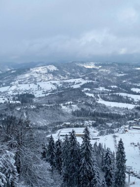 karla kaplı ağaçlar