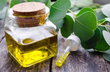 Okaliptüs, cam şişede gerekli yağlar. Oganik bitkisel aromaterapi kavramı.