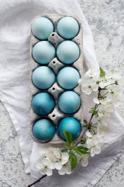 Bahar kiraz çiçekli ombre mavi paskalya yumurtaları. Paskalya kompozisyonu gri beton arka planda. Gıda boyasıyla doğal ekolojik lekeler. Üst görünüm.