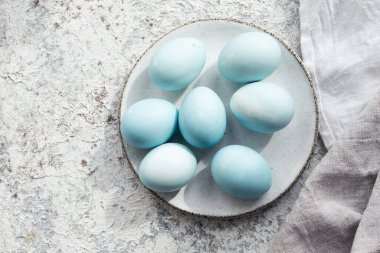 Mavi Paskalya yumurtaları, gri beton arka planda doğal boya kırmızısı lahanayla boyanmış. Bir sıra mavi ombre paskalya yumurtası. Gıda boyasıyla doğal ekolojik lekeler. Üst görünüm.