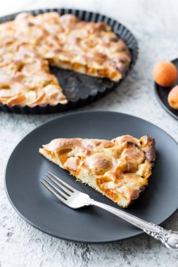 Bir dilim taze kayısı keki. Gri beton arka planda ev yapımı kayısı turtası. Taze pişmiş kayısı turtası..