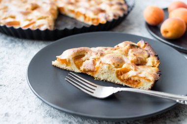 Bir dilim taze kayısı keki. Gri beton arka planda ev yapımı kayısı turtası. Taze pişmiş kayısı turtası..