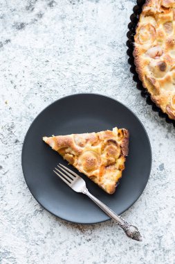 Bir dilim taze kayısı keki. Gri beton arka planda ev yapımı kayısı turtası. Taze pişmiş kayısı turtası. Üst görünüm.