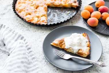 Bir dilim taze kayısılı pasta ve dondurma. Gri beton arka planda ev yapımı kayısı turtası. Taze pişmiş kayısı turtası..