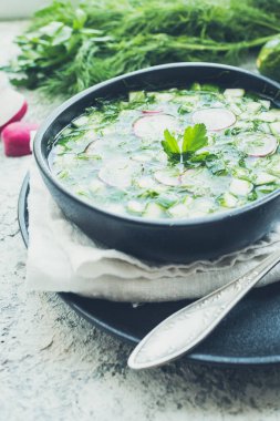 Okroshka. Geleneksel soğuk Rus yaz çorbası turp, salatalık ve dereotlu..