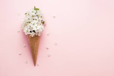 Pastel açık pembe arka planda beyaz kiraz çiçekli waffle şekerli dondurma külahı. Bahar havası minimum konsept. Üst Manzara. Boşluğu kopyala.