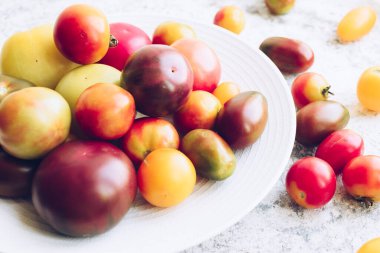 Taş masadaki beyaz tabakta çeşitli renkli domatesler. Gri beton arka planda farklı türde taze organik domates. Çiftlik sağlıklı beslenme konsepti.