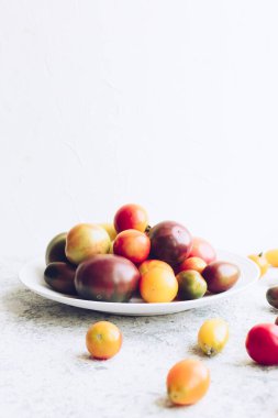 Taş masadaki beyaz tabakta çeşitli renkli domatesler. Farklı türde taze organik domates gri beton arka planda ve yazı için yeri var. Çiftlik sağlıklı beslenme konsepti. Boşluğu kopyala.