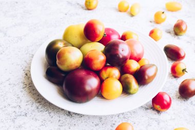 Taş masadaki beyaz tabakta çeşitli renkli domatesler. Gri beton arka planda farklı türde taze organik domates. Çiftlik sağlıklı beslenme konsepti.