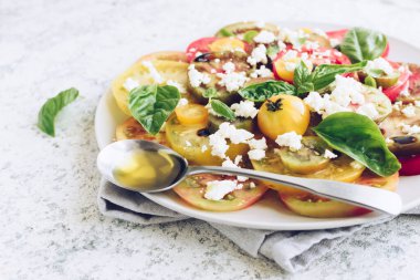 Feta peyniri, fesleğen ve zeytinyağlı renkli domateslerden taze domates salatası. Vejetaryen ve vejetaryen yemekleri. Lezzetli ve sağlıklı bir yemek için kavram.