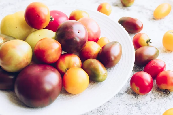 Taş masadaki beyaz tabakta çeşitli renkli domatesler. Gri beton arka planda farklı türde taze organik domates. Çiftlik sağlıklı beslenme konsepti.