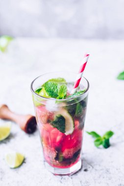 Rubarb, limon ve nane ile yaz ferahlatıcı içecek. Rubarb limonatası. Taze bahar rubarb mojito kokteyli..
