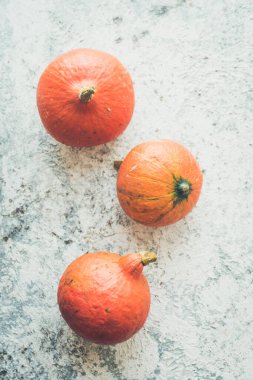 Gri arkaplanda parlak sonbahar balkabakları ve metin için kopya alanı. Güzel sonbahar çerçevesi. Mevsimlik teklifler ve tatil kartpostalları için maket. Üst görünüm.
