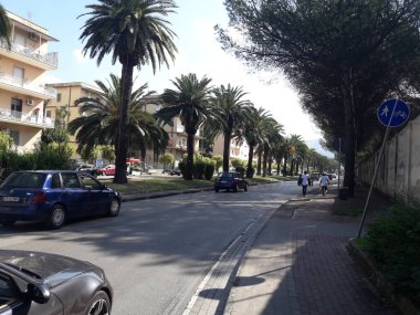 Güney taşra kasabasında palmiye ağaçları olan bir cadde..