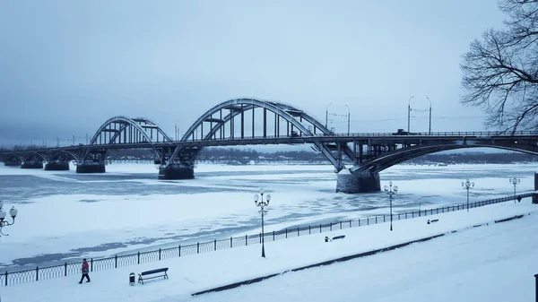 Kış köprüsü. Topraktan görünüm.
