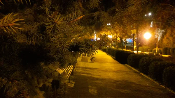 Fabulosamente Bela Paisagem Noturna Uma Praça Iluminada Cidade — Fotografia de Stock