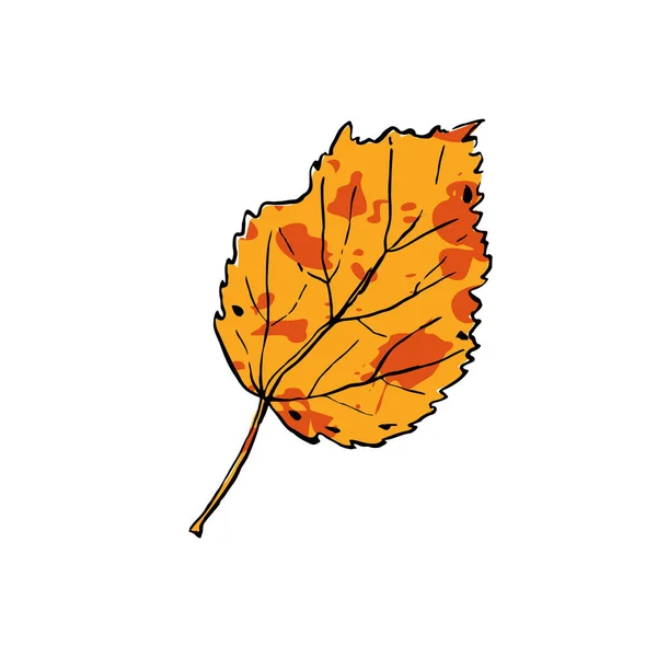 Φθινόπωρο Σκίτσο Κίτρινο Φύλλο Birch Χειροποίητο Χρωματιστό Βότανο Λευκό Φόντο — Διανυσματικό Αρχείο