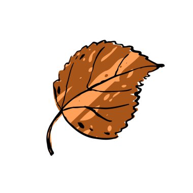 Güz eskizi kahverengi huş yaprağı. El yapımı, beyaz arka planda desenli bitki. Karalama bitkisi resmi. Doğa, orman, ikebana, sonbahar işareti. Oyulmuş yaprak. Vektör botanik sezonu çizimi