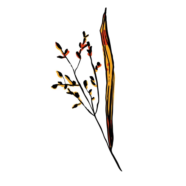 秋のスケッチ黄色のハーブ 白地に種を孤立させた手描きの線草 インクルード植物画像 フィールド 夏の看板 ドライフラワー ベクトル植物図 — ストックベクタ