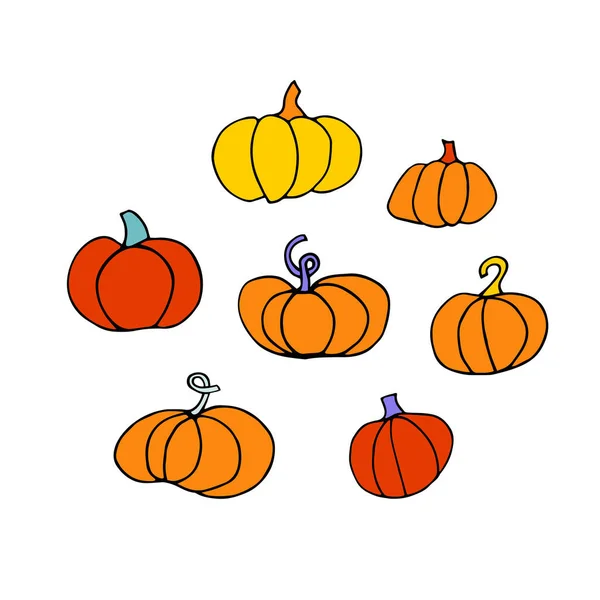 Doodle Pumpkin Set Coleção Diferentes Abóboras Isoladas Fundo Branco Legumes — Vetor de Stock