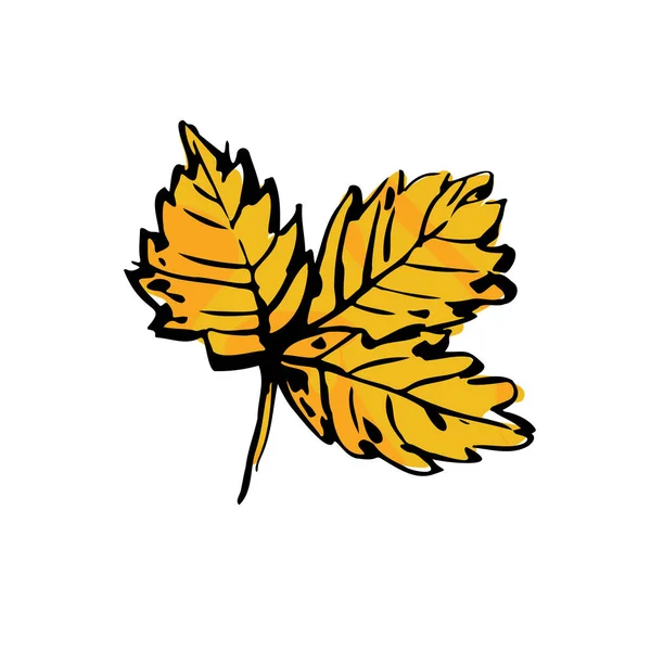 Φθινόπωρο Σκίτσο Κίτρινο Φύλλο Χειροποίητο Χρώμα Υφή Βοτάνου Κλαδί Λευκό — Διανυσματικό Αρχείο
